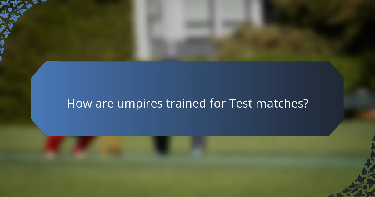 How are umpires trained for Test matches?