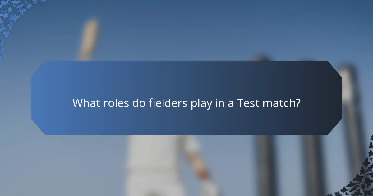 What roles do fielders play in a Test match?